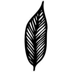 Hand drawn leaves line linear black strock Symbol visual illustration