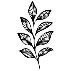 Hand drawn leaves line linear black strock Symbol visual illustration