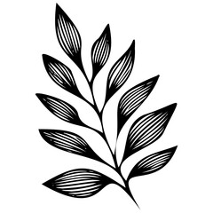 Hand drawn leaves line linear black strock Symbol visual illustration