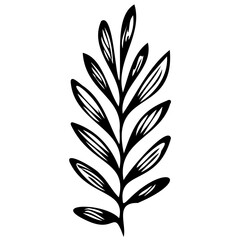 Hand drawn leaves line Symbol visual illustration Tropical Leaves in doodle style. Vector hand drawn black line design elements. Exotic summer botanical illustrations. Monstera leaves, palm leaves