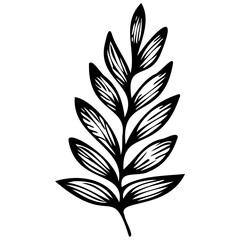 Hand drawn leaves line Symbol visual illustration Tropical Leaves in doodle style. Vector hand drawn black line design elements. Exotic summer botanical illustrations. Monstera leaves, palm leaves