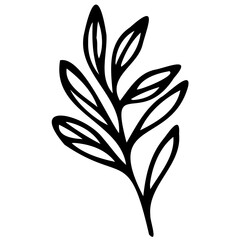 Hand drawn leaves line Symbol visual illustration Tropical Leaves in doodle style. Vector hand drawn black line design elements. Exotic summer botanical illustrations. Monstera leaves, palm leaves