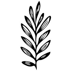 Hand drawn leaves line linear black strock Symbol visual illustration Minimal botanical hand drawing design for logo and wedding invitation. Floral line art. Flower and leaves Element