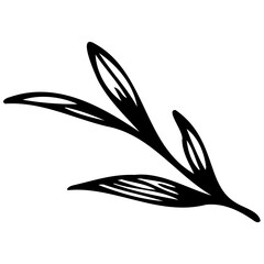 Fototapeta premium Hand drawn leaves line linear black strock Symbol visual illustration Minimal botanical hand drawing design for logo and wedding invitation. Floral line art. Flower and leaves Element