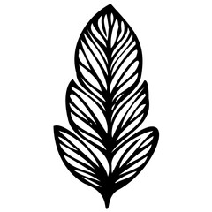 Hand drawn leaves line linear black strock Symbol visual illustration Minimal botanical hand drawing design for logo and wedding invitation. Floral line art. Flower and leaves Element