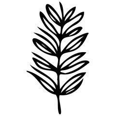 Hand drawn leaves line linear black strock Symbol visual illustration Botanical linear flower set. Abstract creative floral collection, minimalist flowery art for print, tattoo. Vector illustration