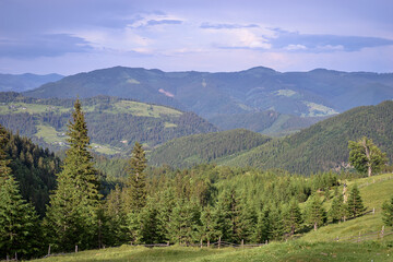 Beautiful summer mountains landscape. Green Carpathians view.