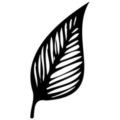 Hand drawn leaves line linear black strock Symbol visual illustration Botanical linear flower set. Abstract creative floral collection, minimalist flowery art for print, tattoo. Vector illustration