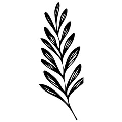 Hand drawn leaves line linear black strock Symbol visual illustration Botanical drawing. Minimal plant logo, meadow greenery, leaf and blooming flower abstract sketch element collection, linear rustic