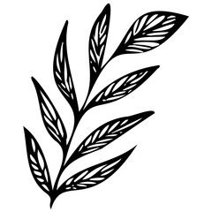 Hand drawn leaves line linear black Strock Symbol visual illustration Wild plant leaves hand drawn black on white background. Forest branch silhouette