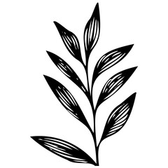 Hand drawn leaves line linear black Strock Symbol visual illustration Wild plant leaves hand drawn black on white background. Forest branch silhouette