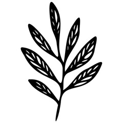 Hand drawn leaves line linear black Strock Symbol visual illustration Wild plant leaves hand drawn black on white background. Forest branch silhouette