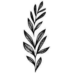 Hand drawn leaves line linear black Strock Symbol visual illustration Wild plant leaves hand drawn black on white background. Forest branch silhouette