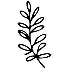 Hand drawn leaves Symbol visual illustration Tropical Leaves in doodle style. Vector hand drawn black line design elements. Exotic summer botanical illustrations. Monstera leaves, palm, banana leaf