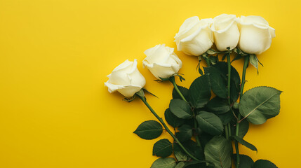 A bouquet of white roses is displayed on a yellow background