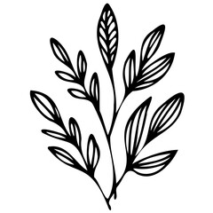 Hand drawn leaves line Symbol visual illustration Floral branch and minimalist flowers for logo or tattoo. Hand drawn line wedding herb, elegant leaves for invitation Botanical rustic trendy greenery