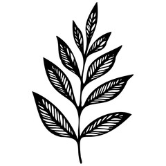 Hand drawn leaves line Symbol visual illustration Floral branch and minimalist flowers for logo or tattoo. Hand drawn line wedding herb, elegant leaves for invitation Botanical rustic trendy greenery