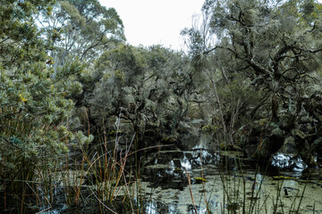 Travel at Australia