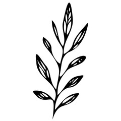 Hand drawn leaves line linear Symbol visual illustration Tropical Leaves in doodle style. Vector hand drawn black line design elements. Exotic summer botanical illustrations. Monstera leaves, palm, 