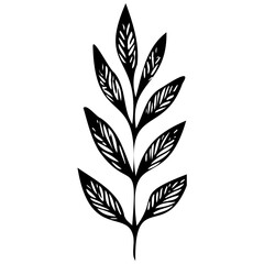 Hand drawn leaves line linear Symbol visual illustration Tropical Leaves in doodle style. Vector hand drawn black line design elements. Exotic summer botanical illustrations. Monstera leaves, palm, 