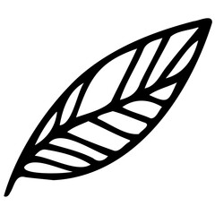 Hand drawn leaves line linear Symbol visual illustration Tropical Leaves in doodle style. Vector hand drawn black line design elements. Exotic summer botanical illustrations. Monstera leaves, palm, 