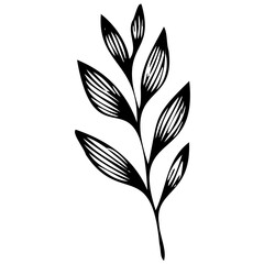 Hand drawn leaves line linear Symbol visual illustration Tropical Leaves in doodle style. Vector hand drawn black line design elements. Exotic summer botanical illustrations. Monstera leaves, palm, 