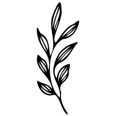 Hand drawn leaves line linear Symbol visual illustration Tropical Leaves in doodle style. Vector hand drawn black line design elements. Exotic summer botanical illustrations. Monstera leaves, palm, 