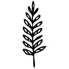 Hand drawn leaves line linear Symbol visual illustration Tropical Leaves in doodle style. Vector hand drawn black line design elements. Exotic summer botanical illustrations. Monstera leaves, palm, 