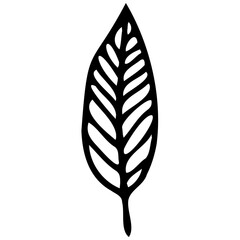 Hand drawn leaves line linear Symbol visual illustration Tropical Leaves in doodle style. Vector hand drawn black line design elements. Exotic summer botanical illustrations. Monstera leaves, palm, 