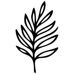 Hand drawn leaves line linear Symbol visual illustration Tropical Leaves in doodle style. Vector hand drawn black line design elements. Exotic summer botanical illustrations. Monstera leaves, palm, 