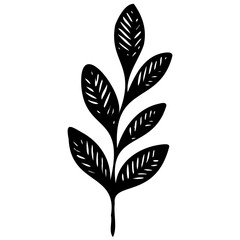 Hand drawn leaves line linear black strock Symbol visual illustration Hand drawn leaves line linear black Strock Symbol visual illustration hand drawn curly grass and on white background