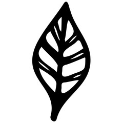 Hand drawn leaves line linear black strock Symbol visual illustration Hand drawn leaves line linear black Strock Symbol visual illustration hand drawn curly grass and on white background