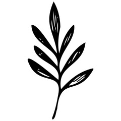 Hand drawn leaves line linear black strock Symbol visual illustration Hand drawn leaves line linear black Strock Symbol visual illustration hand drawn curly grass and on white background