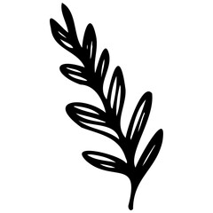 Hand drawn leaves line linear black strock Symbol visual illustration Hand drawn leaves line linear black Strock Symbol visual illustration hand drawn curly grass and on white background