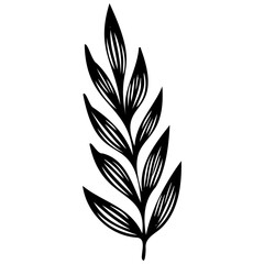 Hand drawn leaves line linear black strock Symbol visual illustration Hand drawn leaves line linear black Strock Symbol visual illustration hand drawn curly grass and on white background