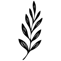 Hand drawn leaves line linear black Strock Symbol visual illustration Hand drawn leaves line linear black Strock Symbol visual illustration hand drawn curly grass and on white background