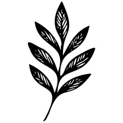 Hand drawn leaves line linear black Strock Symbol visual illustration Hand drawn leaves line linear black Strock Symbol visual illustration hand drawn curly grass and on white background