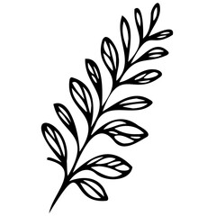 Hand drawn leaves line linear black Strock Symbol visual illustration Hand drawn leaves line linear black Strock Symbol visual illustration hand drawn curly grass and on white background