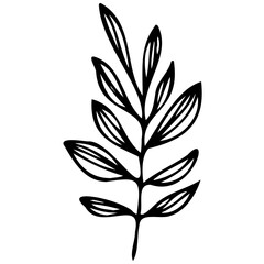 Hand drawn leaves line linear black Strock Symbol visual illustration Hand drawn leaves line linear black Strock Symbol visual illustration hand drawn curly grass and on white background