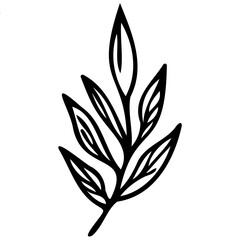 Hand drawn leaves line linear black Strock Symbol visual illustration Hand drawn leaves line linear black Strock Symbol visual illustration hand drawn curly grass and on white background