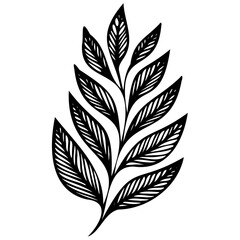 Hand drawn leaves line linear black Strock Symbol visual illustration Hand drawn leaves line linear black Strock Symbol visual illustration hand drawn curly grass and on white background