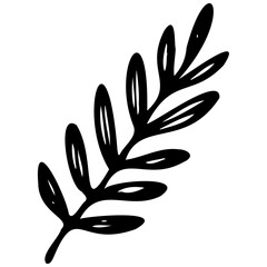 Obraz premium Hand drawn leaves line linear black Strock Symbol visual illustration Hand drawn leaves line linear black Strock Symbol visual illustration hand drawn curly grass and on white background