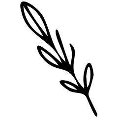 Hand drawn leaves line linear black strock Symbol visual illustration hand drawn curly grass and flowers on white isolated background. Botanical illustration. Decorative floral