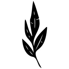 Hand drawn leaves line linear black strock Symbol visual illustration hand drawn curly grass and flowers on white isolated background. Botanical illustration. Decorative floral