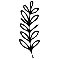 Hand drawn leaves line linear black strock Symbol visual illustration hand drawn curly grass and flowers on white isolated background. Botanical illustration. Decorative floral