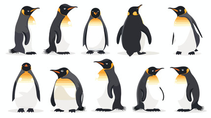 Collection of cartoon penguin isolated on white background