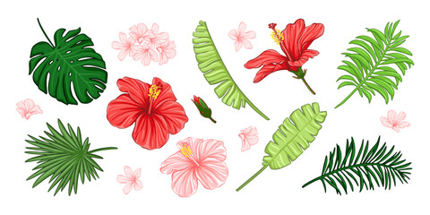 Set of exotic tropical palm leaves, hibiscus flowers. Bright colorful botanical design elements.