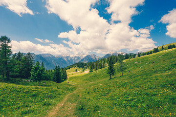 Alpine Meadows, Mountain Valley with Trees, Green Grass and Blue Sky with Clouds. Velika Planina, Slovenia - 773971948