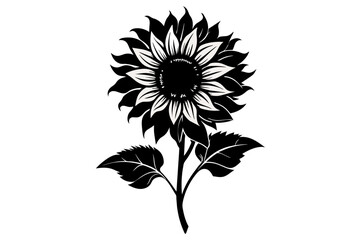 sunflower silhouette black vector illustration