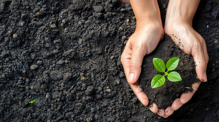 Hands holding soil with plant. Gardening and farming. Taking care of plants and nature.